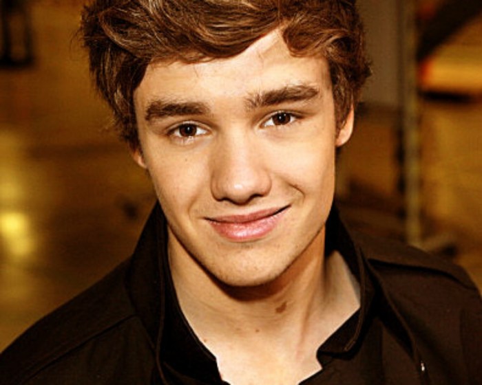 CHUTOGEL peran Liam Payne di One Direction