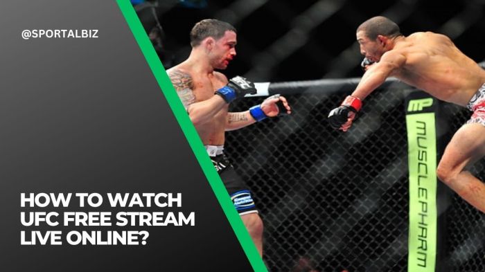 CHUTOGEL - Link live streaming UFC 308